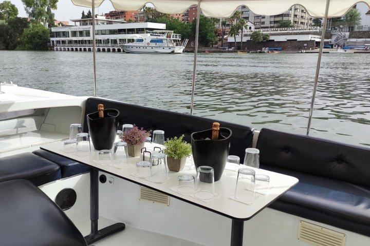 Private Eco-Cruise by Guadalquivir with Certified Guide