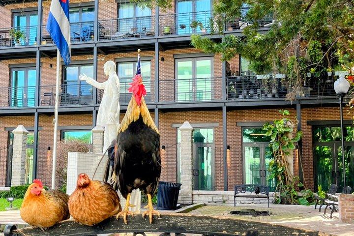 Iconic Ybor Cuban Sandwich and History Tour