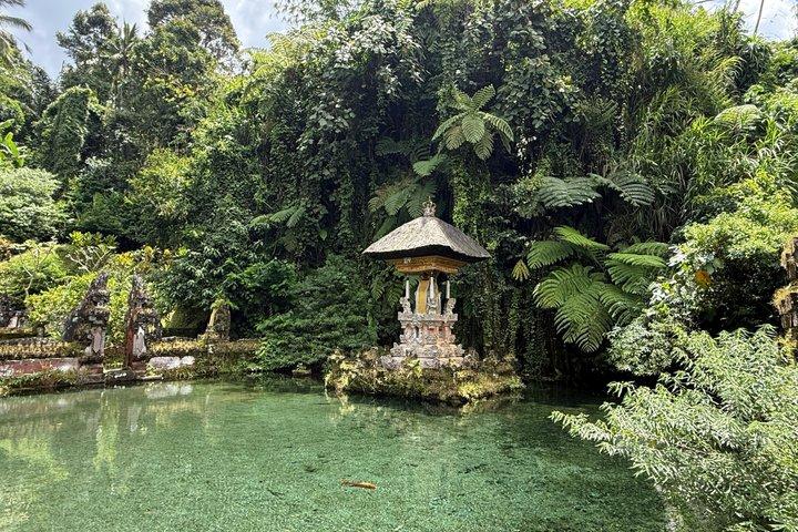 Ubud Private Tour : Waterfall, Temple, Rice terrace and Swing