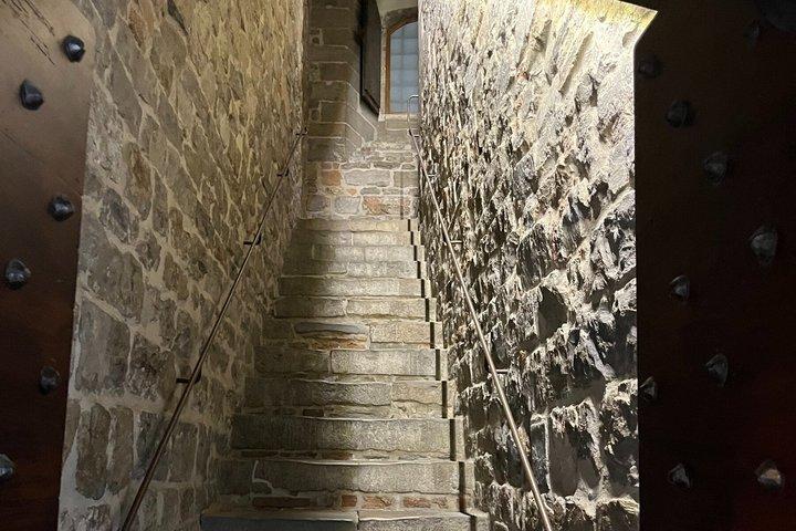 Florence from Above Arnolfo Tower Climb with Audio Tour App