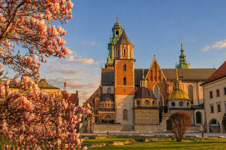 Krakow: Wawel Hill Audio Guided Tour