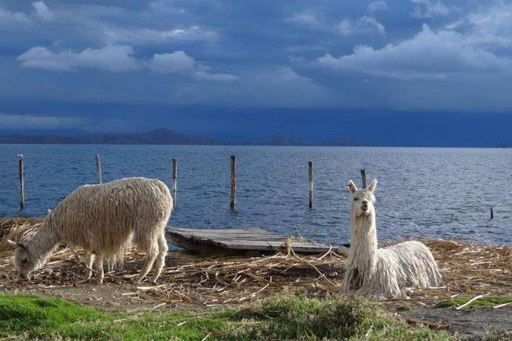 La Paz Nature Day Trip: Valle de las Ánimas & Lake Titicaca