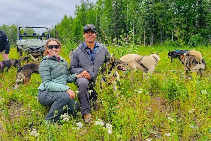 Summer Dog Sled Adventure in Willow Alaska