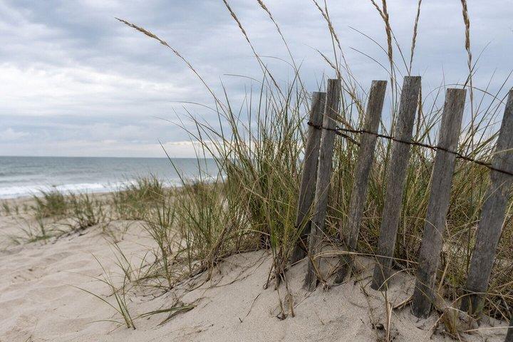 Discover The Hamptons: A Self-Guided Tour