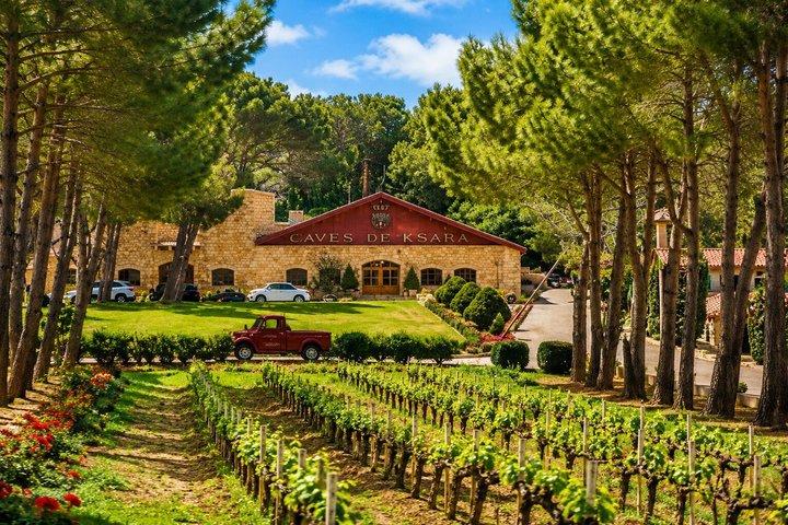 Anjar, Baalbek & Ksara Winery Small-Group Tour | Lunch Included