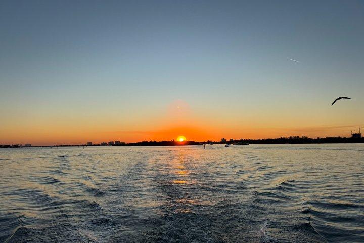 Miami Raccoon Island Wildlife Boat Tour with Captain and Photos