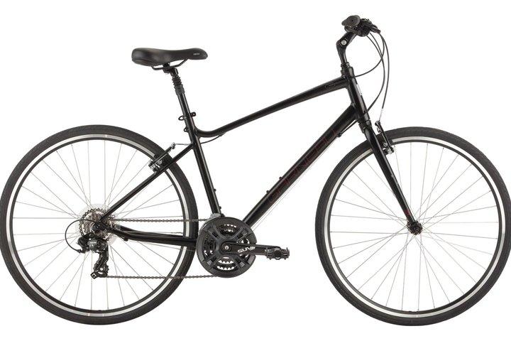Full day bike Rental by the Old Montreal and Lachine Canal