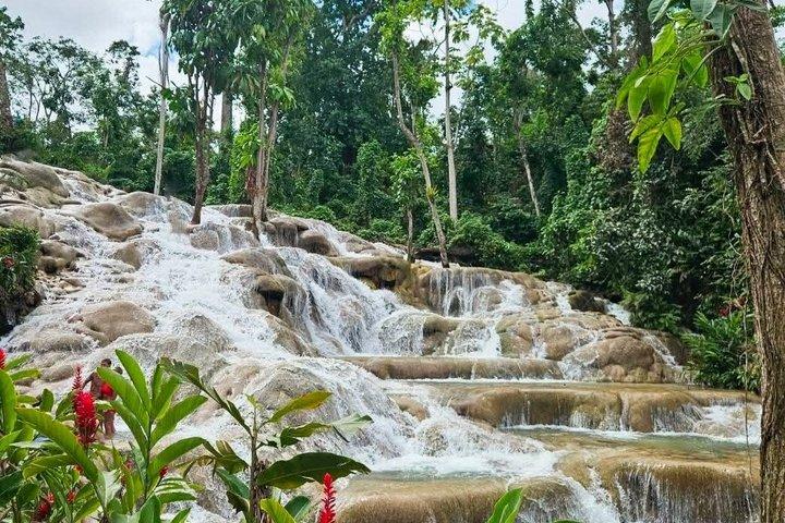 Ocho Rios Dunn's River Falls Tour from Montego Bay and Falmouth