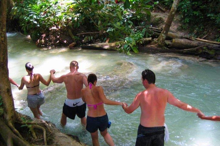 Ocho Rios Dunn's River Falls Tour from Montego Bay and Falmouth