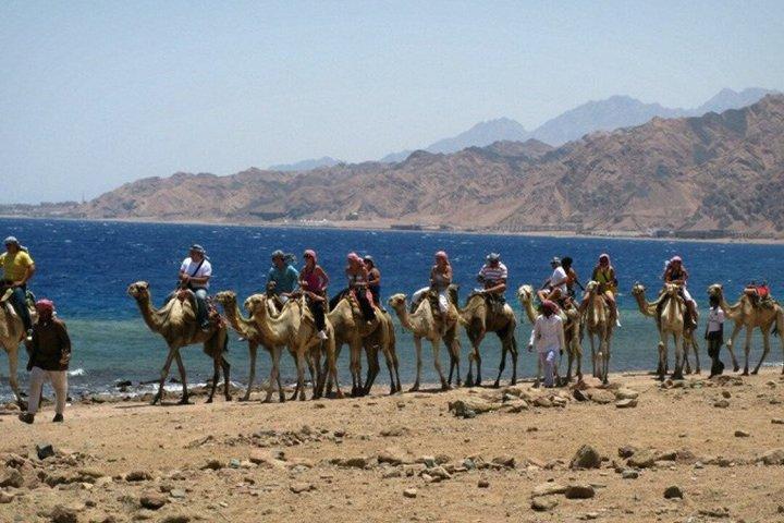 Blue Hole and Coloured Canyon Adventure with Camel Ride and Lunch
