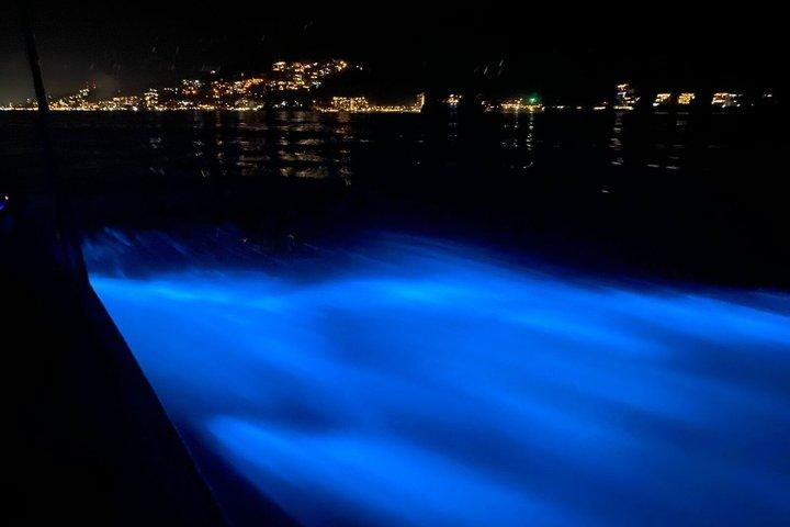 Los Arcos Bioluminescence and Nightlife Combo