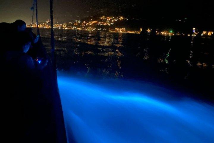 Los Arcos Bioluminescence and Nightlife Combo