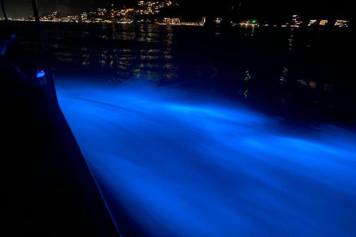 Los Arcos Bioluminescence and Nightlife Combo