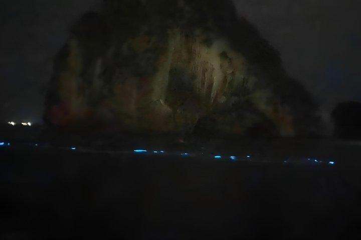 Los Arcos Bioluminescence and Nightlife Combo