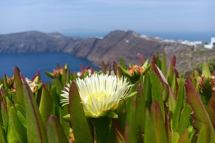The Iconic Caldera Hike Experience Fira to Oia