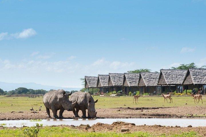 17 Day Ultimate Kenya Safari Big Five and Great Migration
