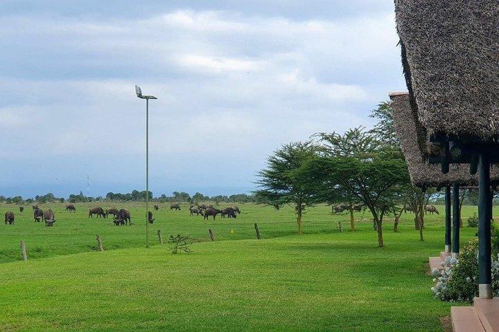 17 Day Ultimate Kenya Safari Big Five and Great Migration