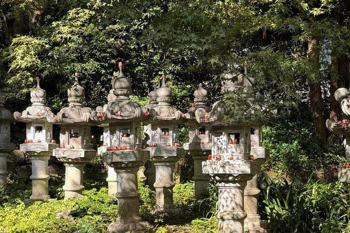 Private Kansai Day Tour Katsuoji Temple Minoh Park and Kyoto