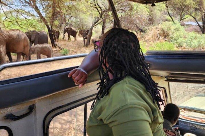 8 Day Wilderness Expedition Serengeti and Ngorongoro Odyssey
