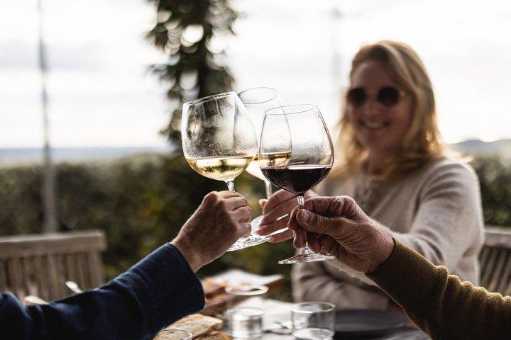 Waiheke Island Half Day Scenic Wine and Lunch