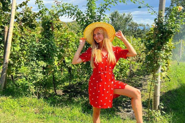 Kakheti Wine Region Tour + 10 Premium Wine Tastings & Sunset