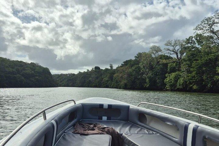Ile Aux Cerfs Speedboat Adventure with BBQ Lunch