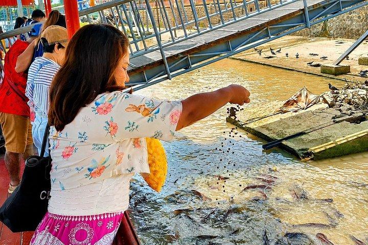 Bangkok: Ayutthaya UNESCO Temples with Tickets, Lunch & Boat