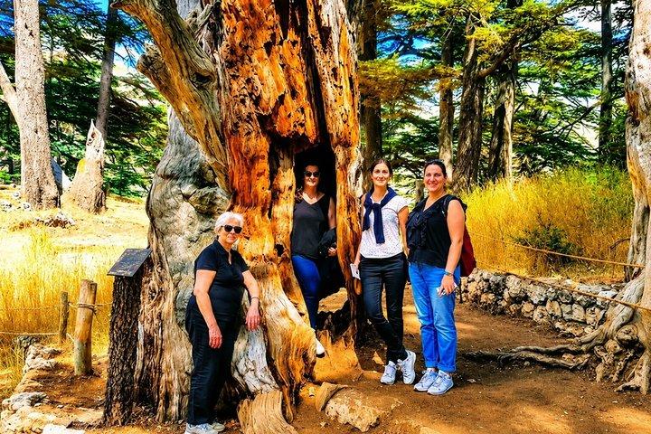Qadisha Valley, Bcharee & Cedar Small Group Tour with Lunch