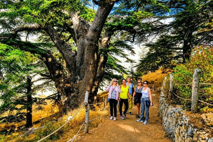 Qadisha Valley, Bcharee & Cedar Small Group Tour with Lunch