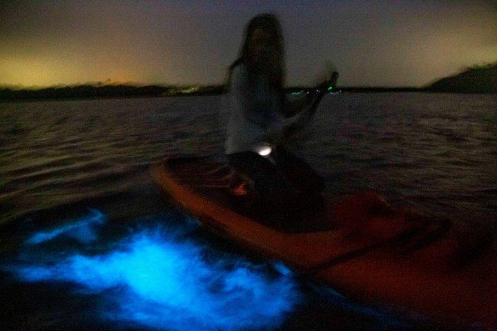Bioluminescence Kayak Tour Near Orlando