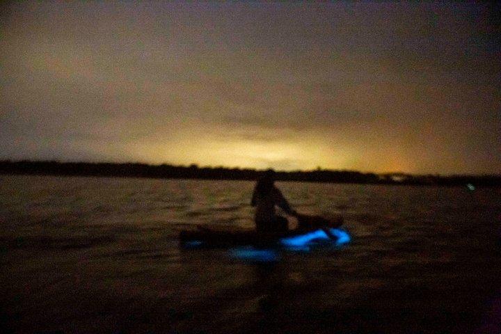 Bioluminescence Kayak Tour Near Orlando