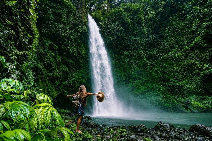 Ubud Tour: Best of Bali Highlights with Guide and All-Inclusive