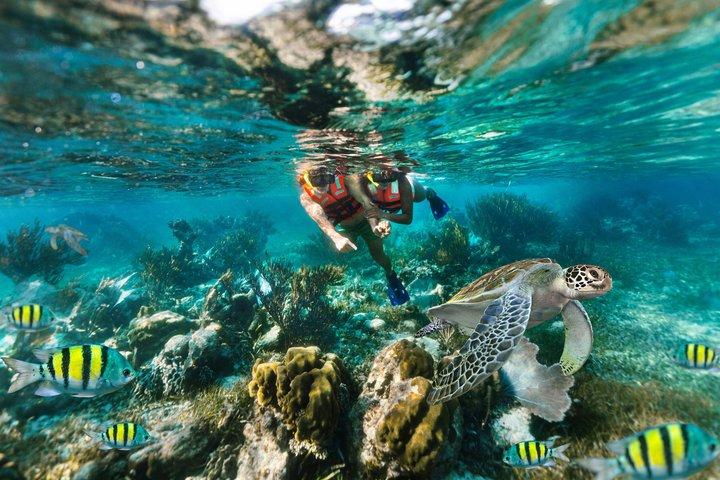 Ultimate 5x1 Combo with ATV, Ziplines, Cenote & Reef Snorkeling