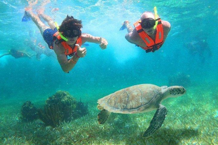 5x1 Adventure: ATV, Snorkel, Cenote, Ziplines & Beach club