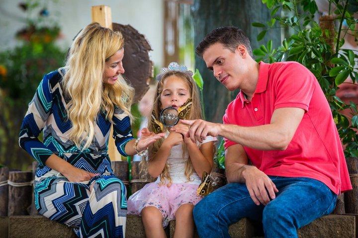 Dubai Butterfly Garden Tickets