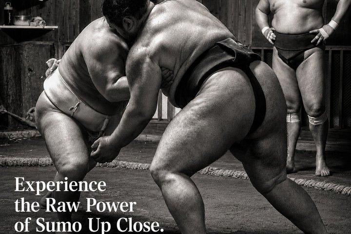 Find Your Favorite Wrestler at Morning Sumo Practice