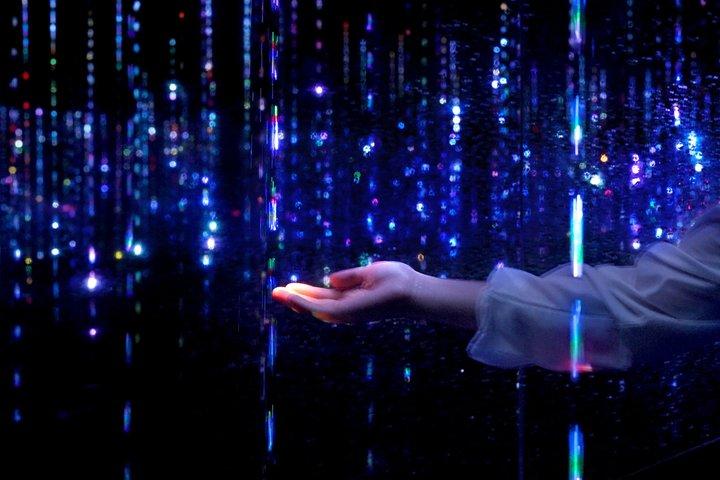 Tokyo TeamLab Planets Ticket and Tokyo Tower Main Deck Ticket