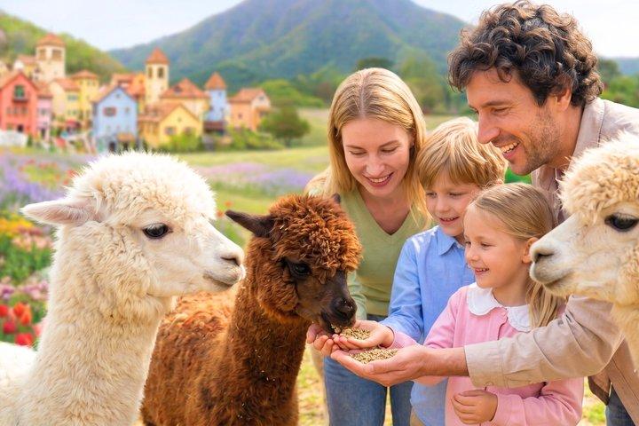 Nami Island, Alpaca, Petite France, K-Garden tour from Seoul