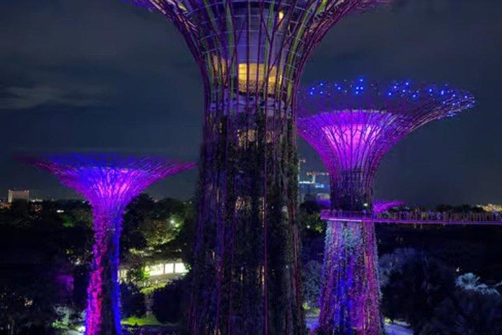 Singapore OCBC Skyway Flower dome Cloud Forest Garden by the Bay