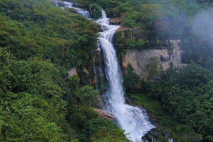 Nuwara Eliya Tea Plucking-Tasting Hidden Waterfalls Experience