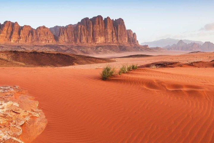 2 Days Tour | Petra, Wadi Rum, and Dead Sea From Amman.
