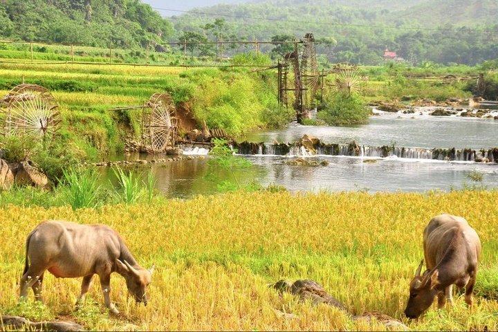 15 Day Private Tour from Hanoi to Saigon