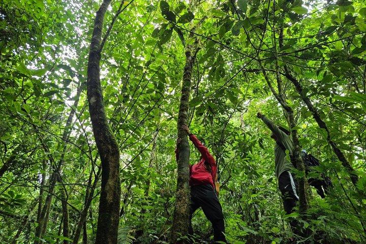 Barbas Bremen Nature Reserve Tour