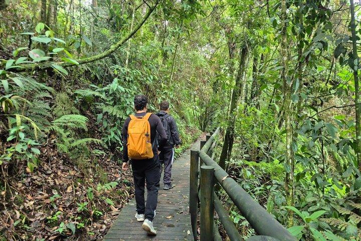 Barbas Bremen Nature Reserve Tour