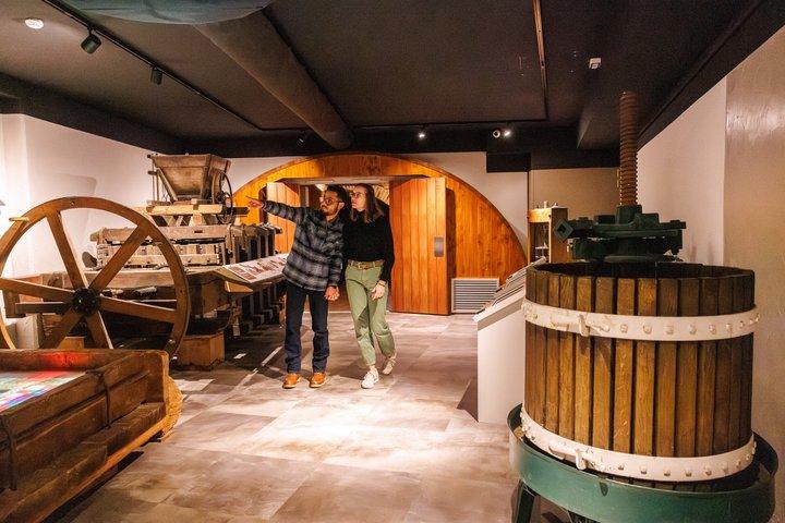 Colmar: Inside Vino Storia: A Journey Through Alsace Wine History