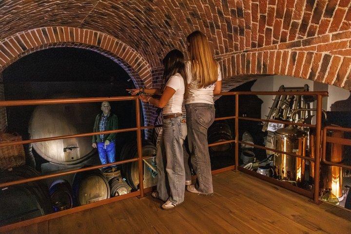 Colmar: Inside Vino Storia: A Journey Through Alsace Wine History
