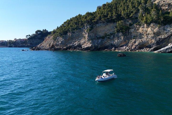 Shared Boat Tour in the Gulf of Poets in La Spezia