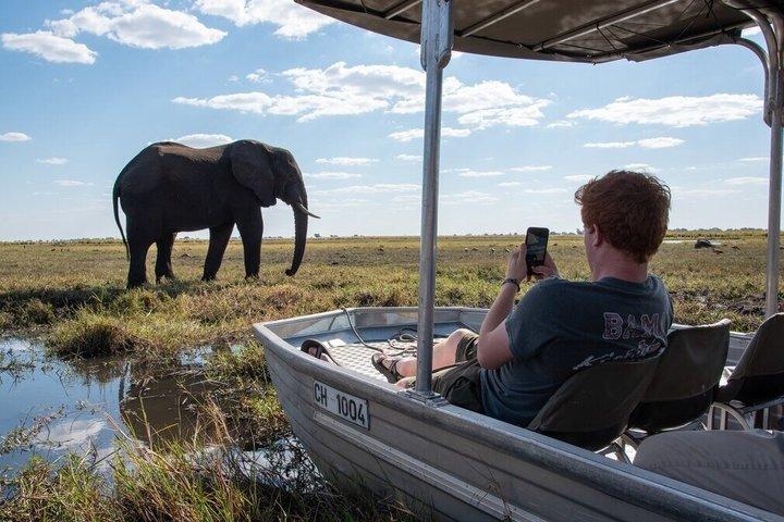 Full Day Chobe National Park Safari from Livingstone
