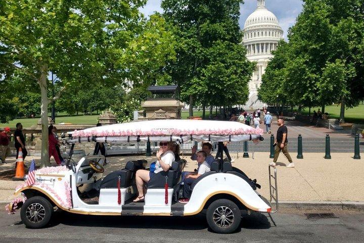 Washington DC: Easy Sightseeing Guided Monuments Tour by E-Cart