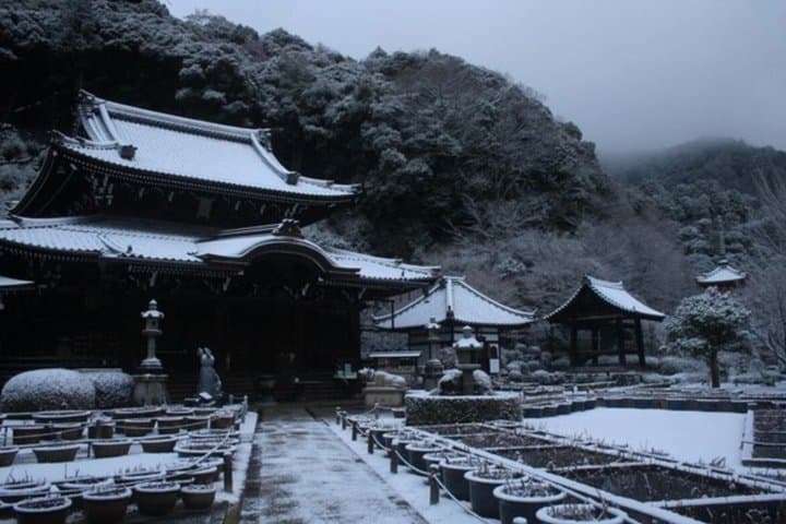 Uji Matcha and Hidden Flower Temples Private Tour from Osaka